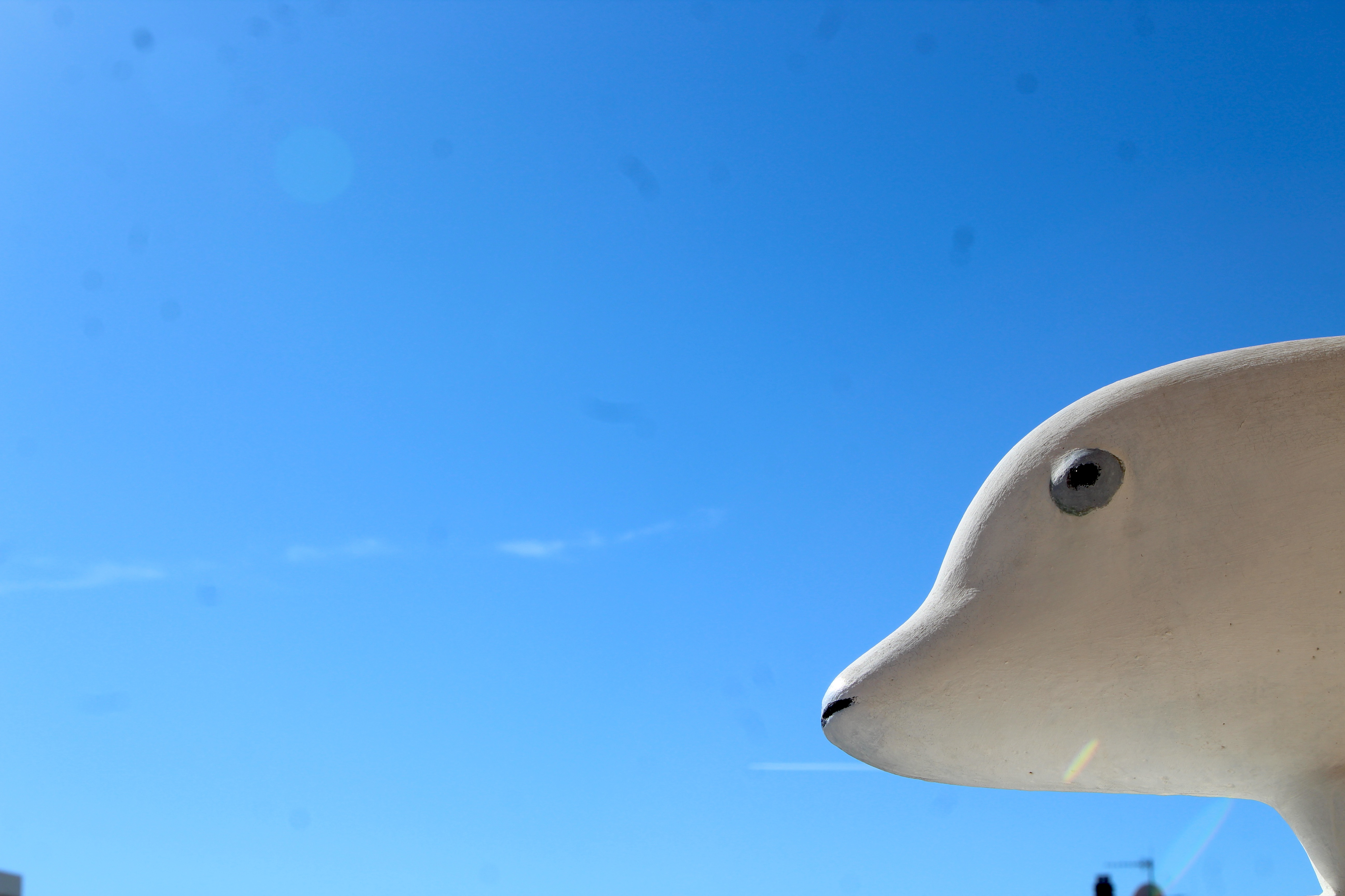 999 - Test Room Do Not Book