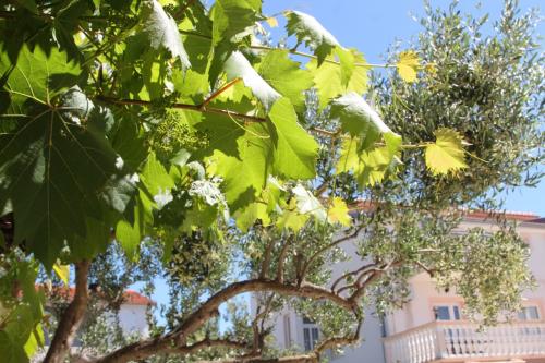 img_1304_large